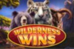 Wilderness Wins